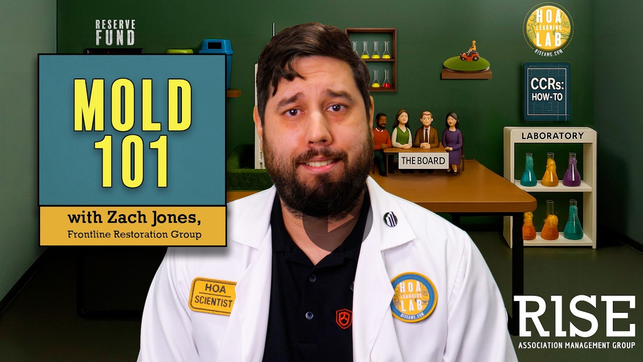 Mold 101